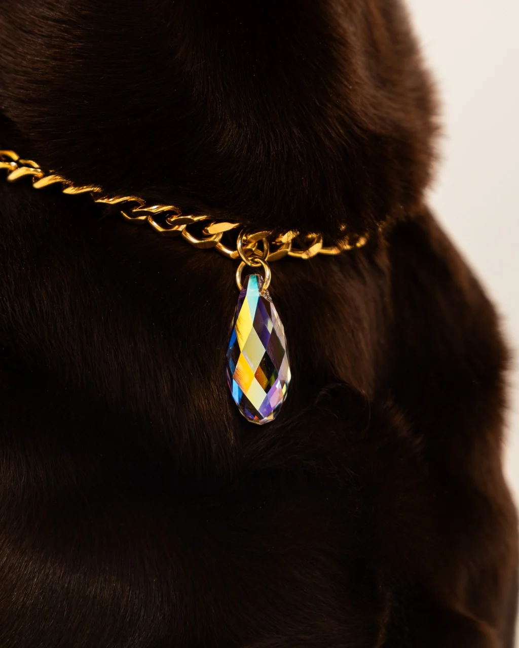 Aurora collar — detail